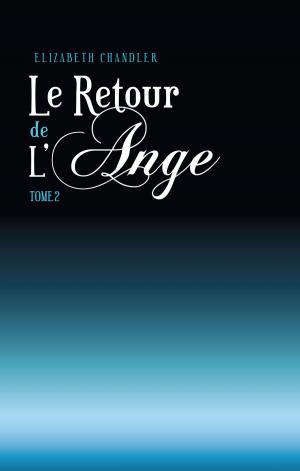 Cover of Le Retour de l'ange 2