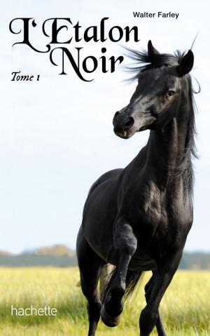 Cover of the book L'étalon noir 1 - L'étalon noir by Tamora Pierce
