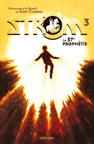 Cover of the book La 37e prophétie by Florence Hinckel