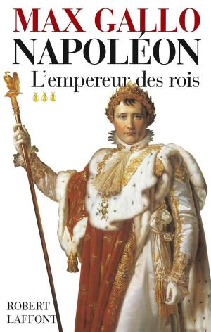 Cover of the book Napoléon - Tome 3 by Laurent BORREDON, David REVAULT D'ALLONNES