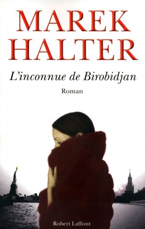 Cover of the book L'Inconnue de Birobidjan by Max GALLO