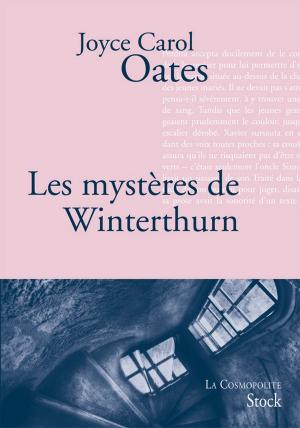 Book cover of Les mystères de Winterthurn