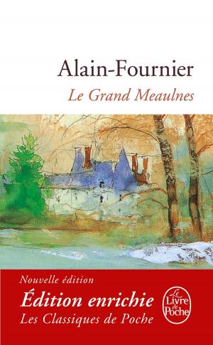 Cover of the book Le Grand Meaulnes by Brandon Sanderson