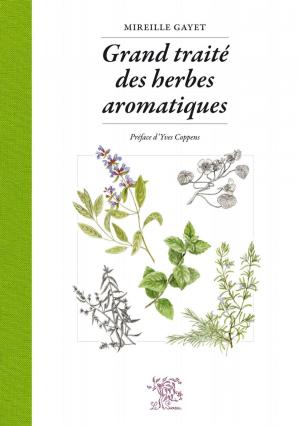 Cover of the book Grand traité des herbes aromatiques by Brenot Didier