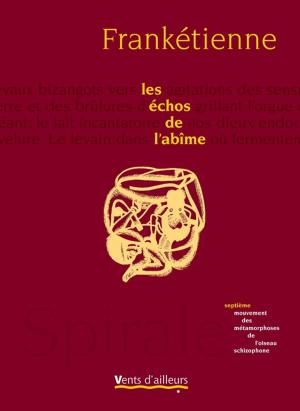 Cover of the book Les échos de l'abîme by Serge Amisi