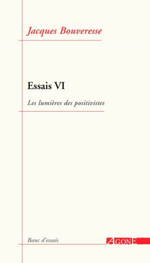 Cover of the book Essais VI by Julian Mischi
