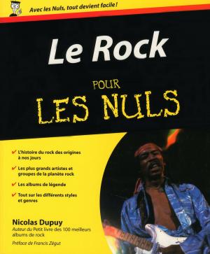 Cover of the book Le Rock Pour les Nuls by Laurent GAULET