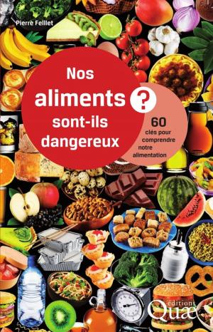 Book cover of Nos aliments sont-ils dangereux ?
