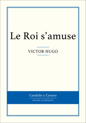 Cover of the book Le Roi s'amuse by Maurice Leblanc