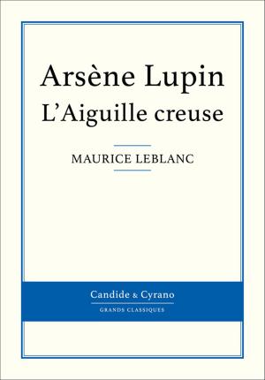 Book cover of L'Aiguille creuse