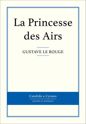 Book cover of La Princesse des Airs