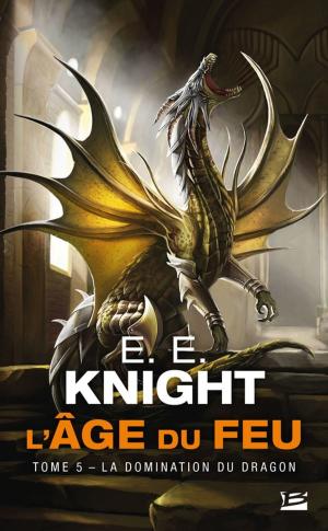 Cover of the book La Domination du dragon by C. K. Kelly Martin