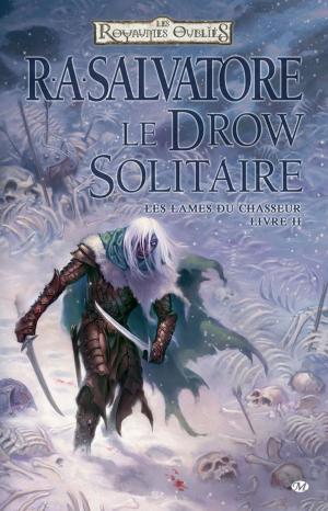 Cover of the book Le Drow Solitaire by Simon Sanahujas