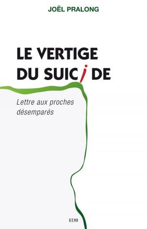 Cover of the book Le vertige du suicide by Joël Pralong, Sylvie Nigg