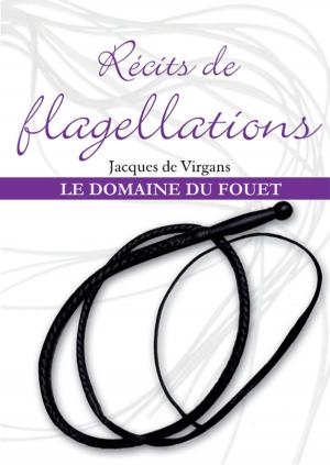 Cover of the book Récits de flagellations Tome 2 by Clarissa Rivière, Julie Derussy