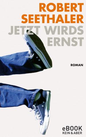 Cover of the book Jetzt wirds ernst by Robert Seethaler