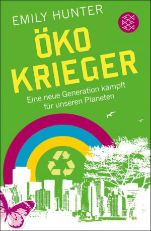 Cover of the book Öko-Krieger by Anke Stelling