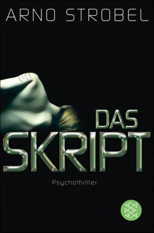 Book cover of Das Skript