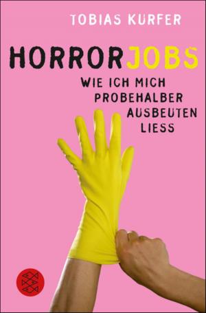 Cover of the book Horrorjobs by Prof. Elisabeth Bronfen