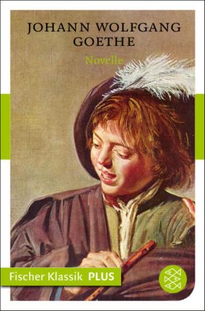 Cover of the book Novelle by Christoph Ransmayr