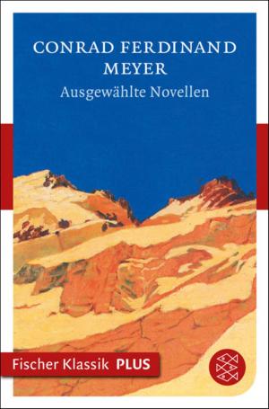 Book cover of Ausgewählte Novellen