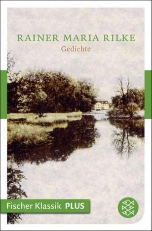 Cover of the book Gedichte by Marlene Streeruwitz