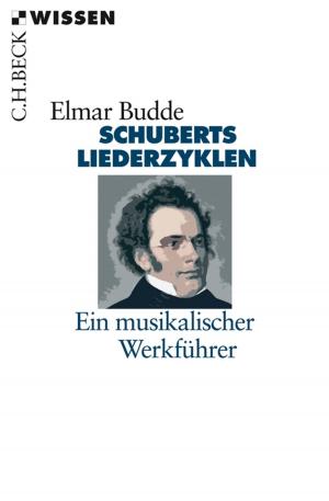 Cover of the book Schuberts Liederzyklen by Ian Bostridge