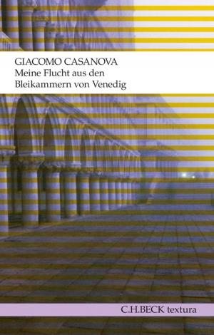 Cover of the book Meine Flucht aus den Bleikammern von Venedig by Siegfried Mauser