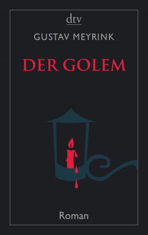 Cover of the book Der Golem by Marcus Sedgwick