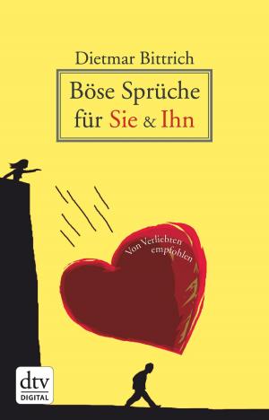 Book cover of Böse Sprüche für Sie & Ihn
