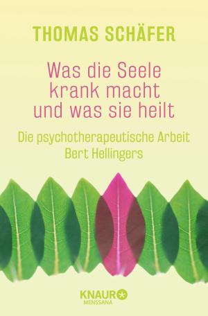 Cover of the book Was die Seele krank macht und was sie heilt by David Morrell