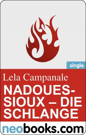 bigCover of the book NadouesSioux: die Schlange by 
