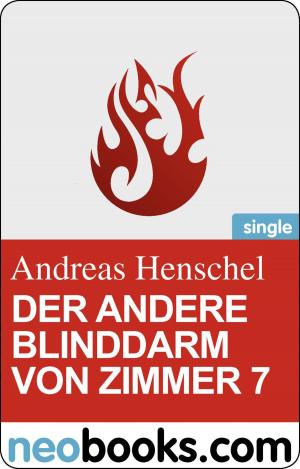 Cover of the book Der andere Blinddarm von Zimmer 7 by Anaïs Goutier