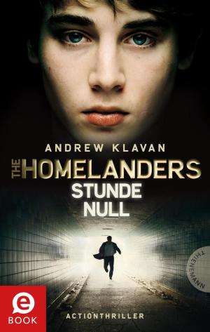 Cover of The Homelanders 1: Stunde Null