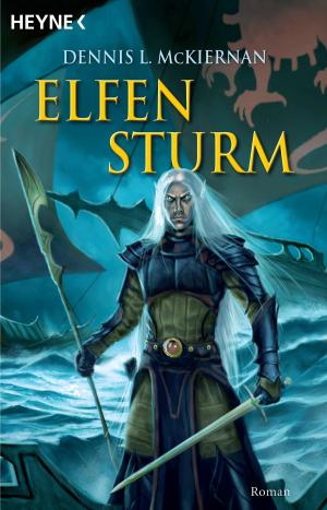 Cover of the book Elfensturm by Christian von Aster