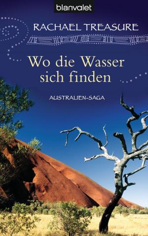 Cover of the book Wo die Wasser sich finden by Alan Dean Foster