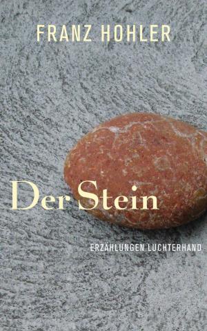 Cover of the book Der Stein by Karl Ove Knausgård