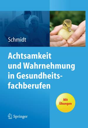 Cover of the book Achtsamkeit und Wahrnehmung in Gesundheitsfachberufen by Hans-Hermann Wiendahl