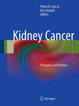 Cover of the book Kidney Cancer by Wolfgang Karl Härdle, Jürgen Franke, Christian Matthias Hafner