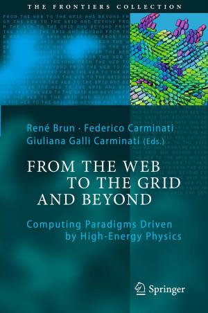 Cover of the book From the Web to the Grid and Beyond by Bryce DeWitt