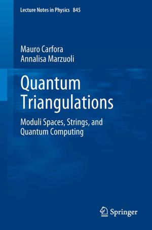 Cover of the book Quantum Triangulations by J. Rickenbacher, H. Scheier, J. Siegfried, A.M. Landolt, F.J. Wagenhäuser, K. Theiler