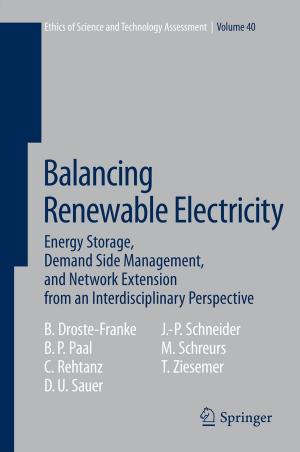 Cover of the book Balancing Renewable Electricity by Friedrich-Karl Ewert