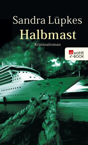 Cover of the book Halbmast by Cornelia Scheel, Regina Carstensen