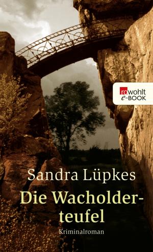 Cover of the book Die Wacholderteufel by Helga Gutowski