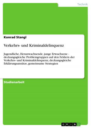 Cover of the book Verkehrs- und Kriminaldelinquenz by Diana Schumann