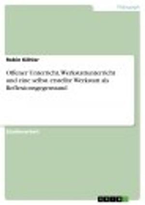 Cover of the book Offener Unterricht, Werkstattunterricht und eine selbst erstellte Werkstatt als Reflexionsgegenstand by Sebastian Hedel