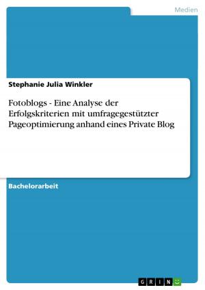 Cover of the book Fotoblogs - Eine Analyse der Erfolgskriterien mit umfragegestützter Pageoptimierung anhand eines Private Blog by Florian Schwarze