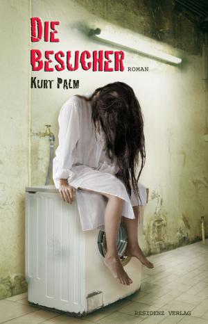 Cover of the book Die Besucher by Susanne Scholl