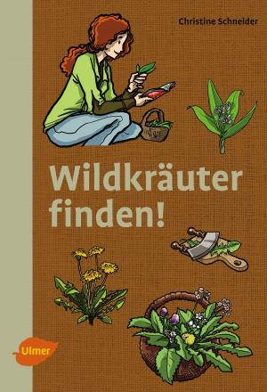 Book cover of Wildkräuter finden!