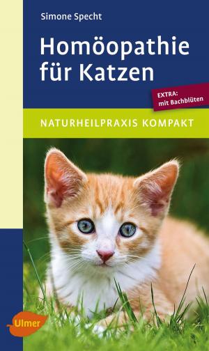 Cover of the book Homöopathie für Katzen by Annegret Pelka, Gerhard Pelka
